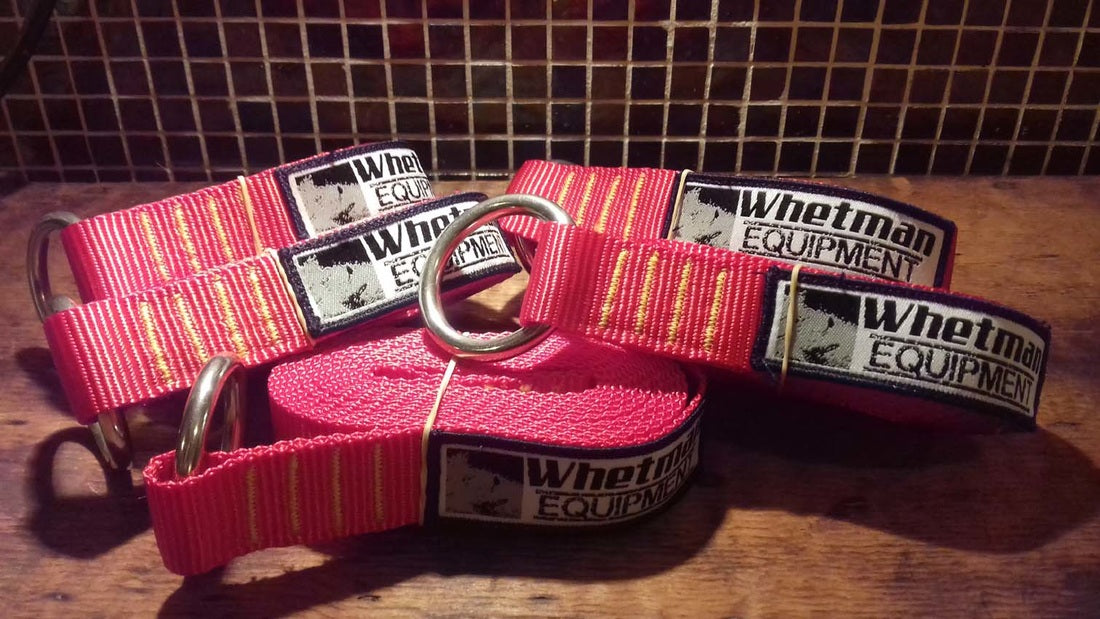 Whetman Equipment Anaconda 3m Sling