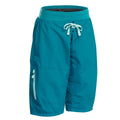 Palm Horizon Women's Shorts Teal Front View