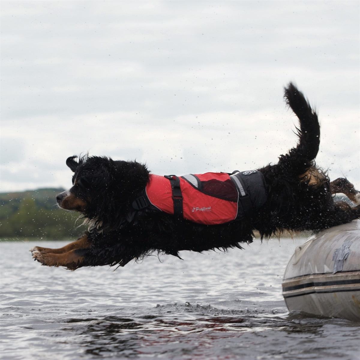 Crewsaver Petfloat Dog Lifejacket